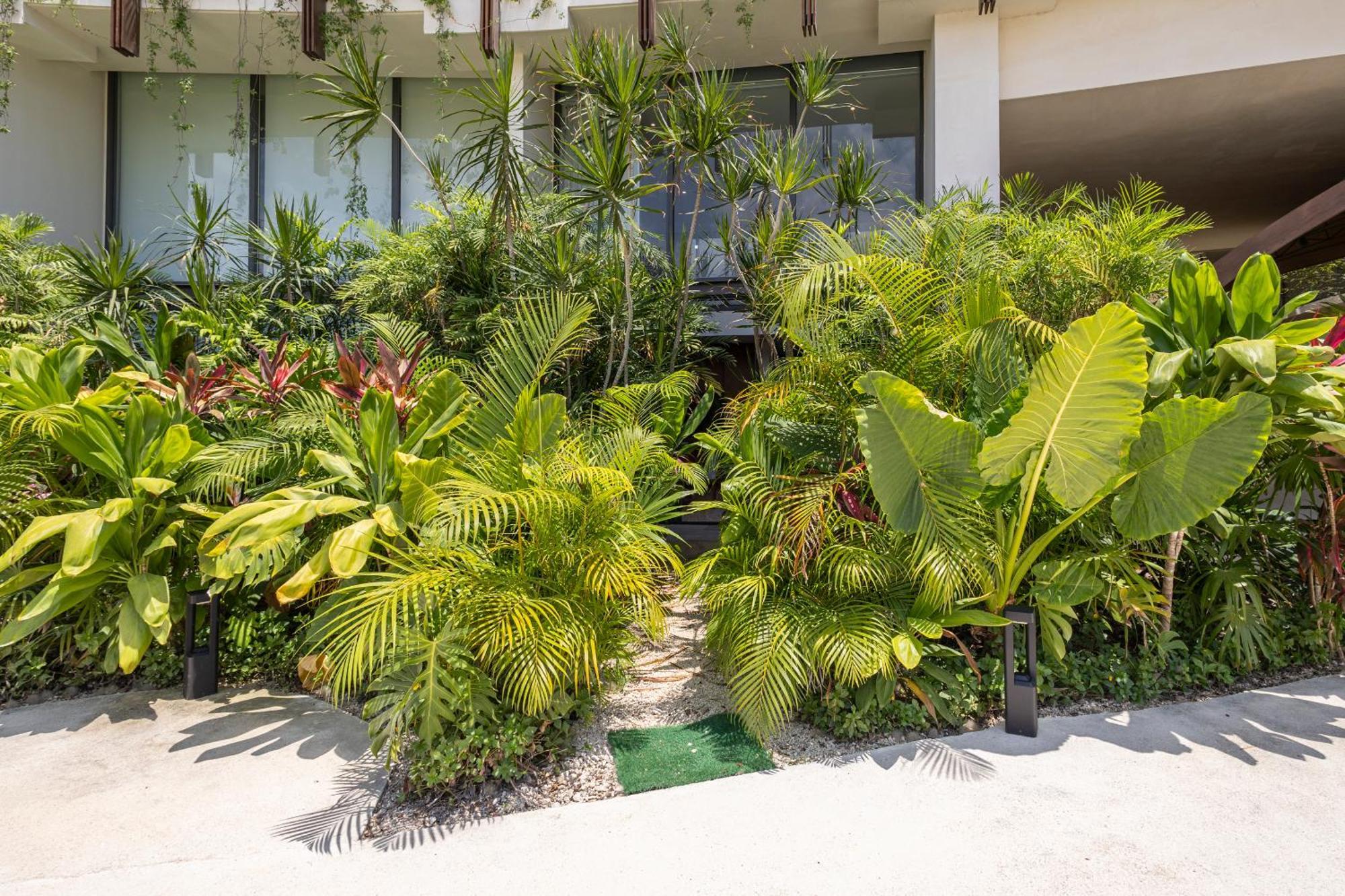דירות טולום Mistiq Gardens מראה חיצוני תמונה