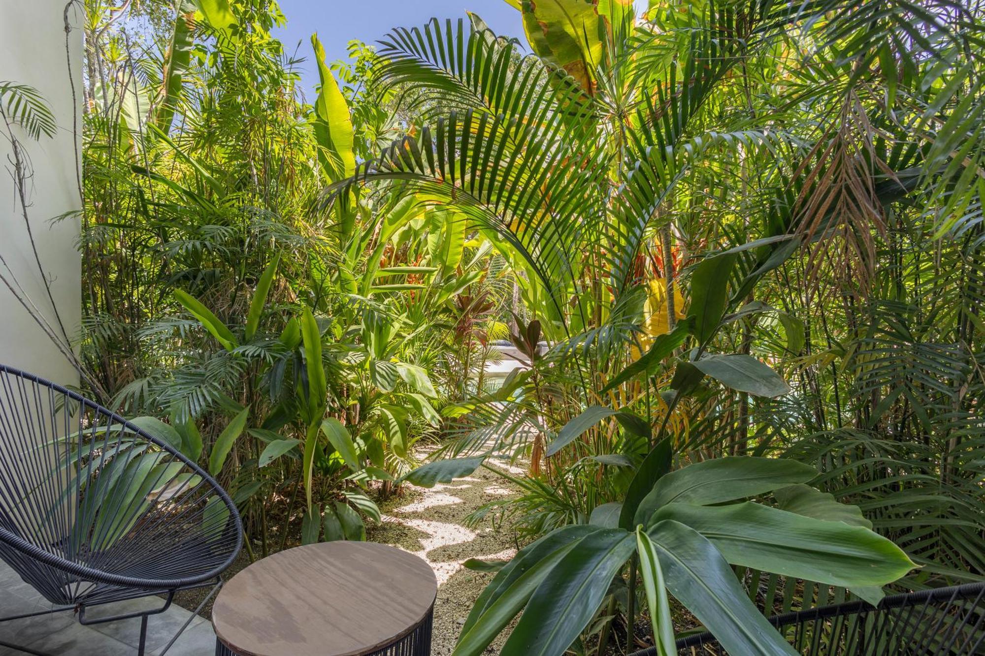 דירות טולום Mistiq Gardens מראה חיצוני תמונה