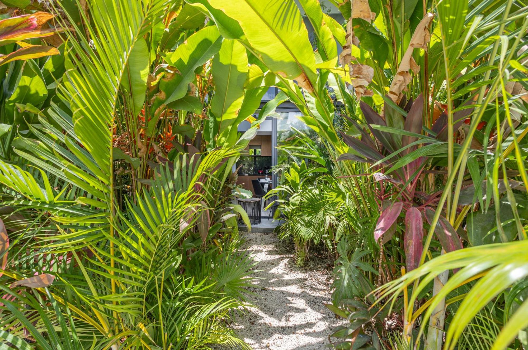 דירות טולום Mistiq Gardens חדר תמונה